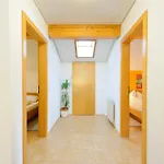 Lenzikopf Brand (Vorarlberg)